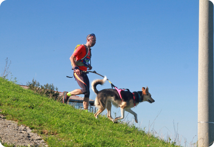 Mugello Dog Trail
