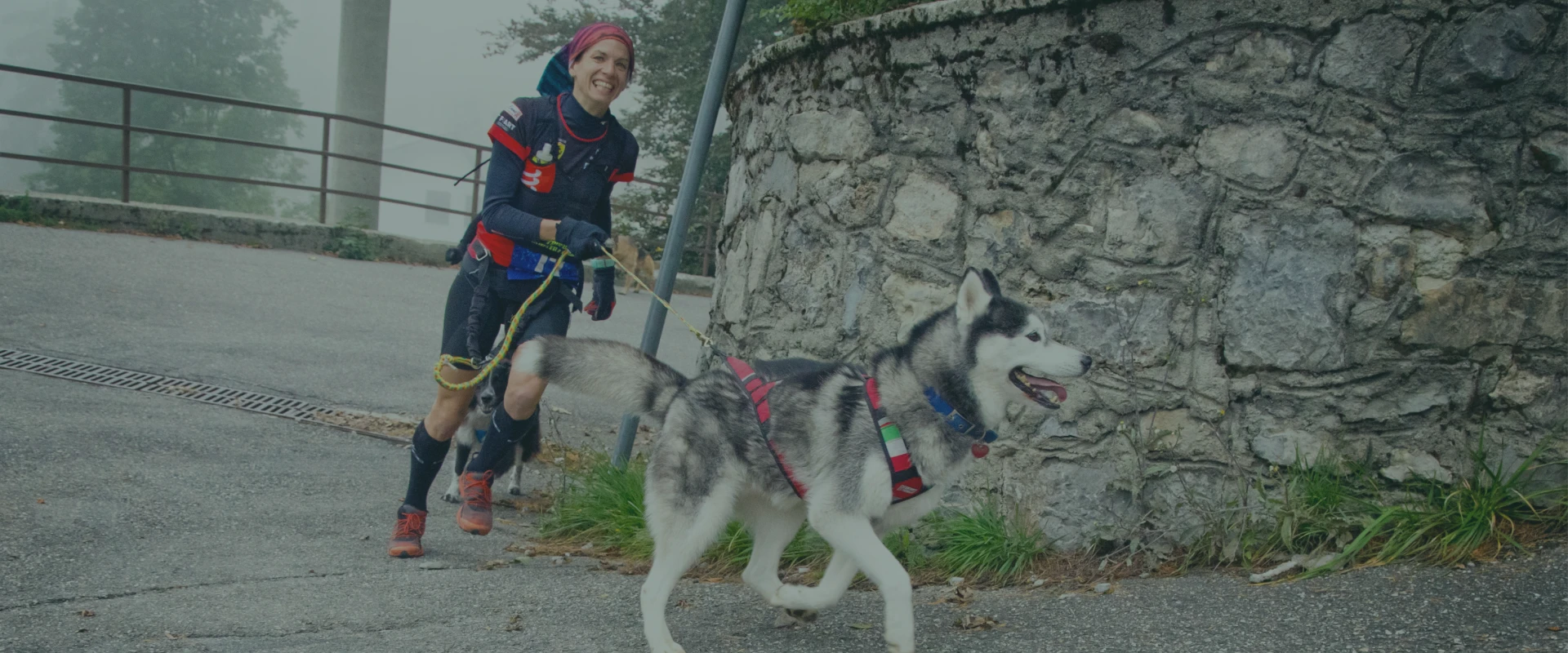 Mugello Dog Trail