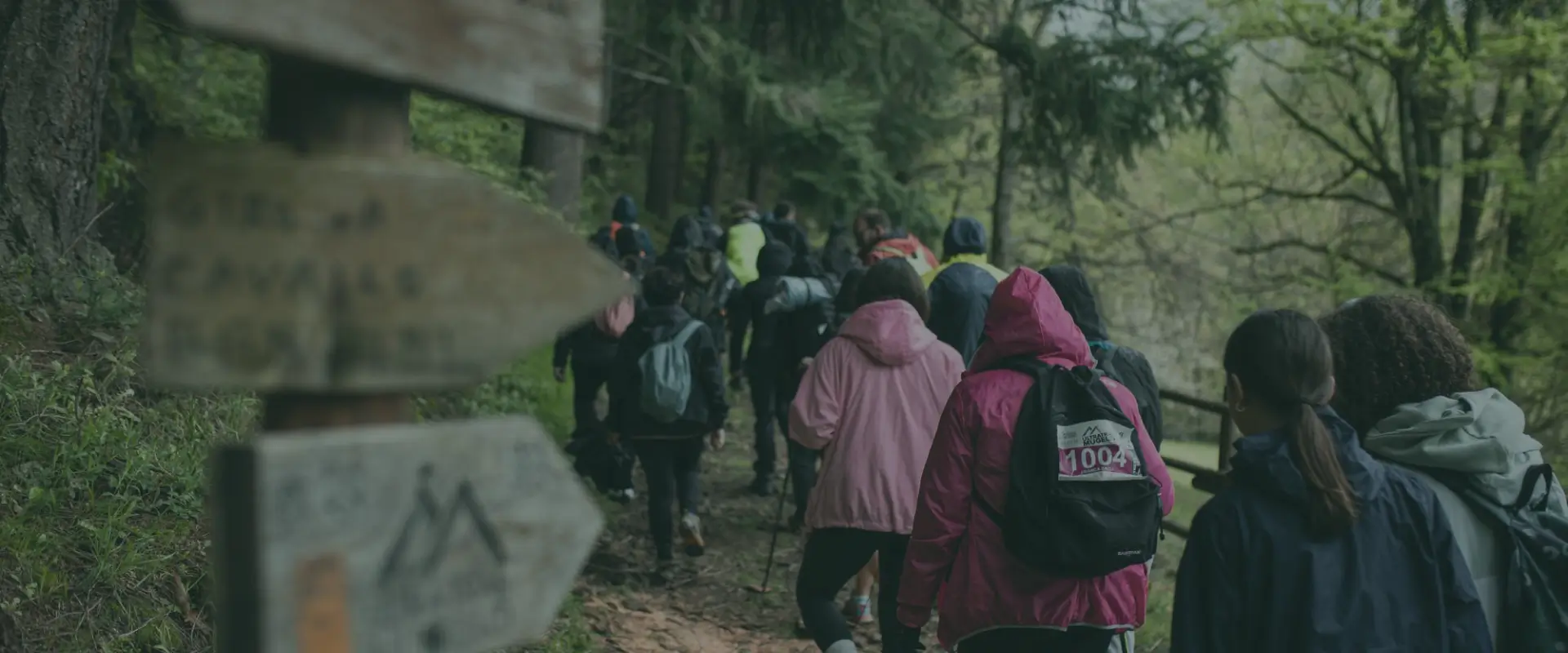 Passeggiata — Trekking della bioDiversità